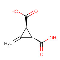 FT-0616158 CAS:499-02-5 chemical structure