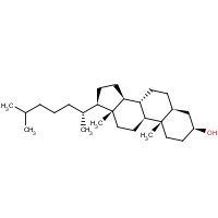 FT-0622895 CAS:80-97-7 chemical structure