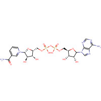 FT-0622904 CAS:53-84-9 chemical structure