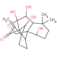 FT-0654913 CAS:28957-04-2 chemical structure