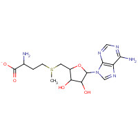 FT-0691537 CAS:485-80-3 chemical structure