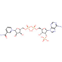 FT-0695973 CAS:53-59-8 chemical structure