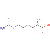 L-Homocitrulline (CAS: 1383-01-8) - Related Chemical Product