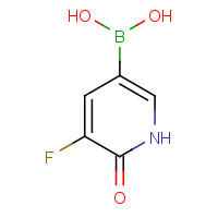 (5-fluoro-6-oxo-1H-pyridin-3-yl)boronic acid (CAS: 1141886-36-3) - Related Chemical Product