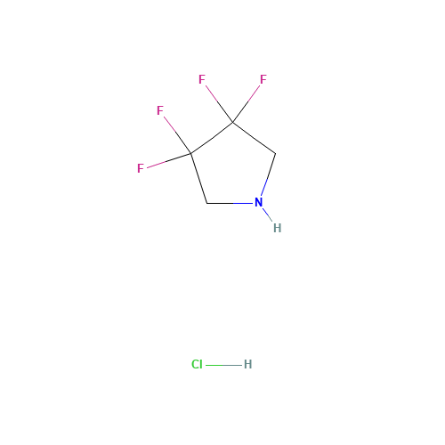 3,3,4,4-Tetrafluoropyrrolidine hydrochloride (CAS: 1841-00-5) - Related Chemical Product