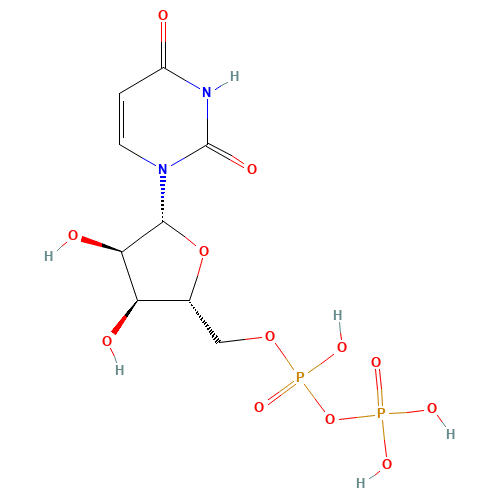 Uridine 5'-diphosphate (CAS: 58-98-0) - Related Chemical Product