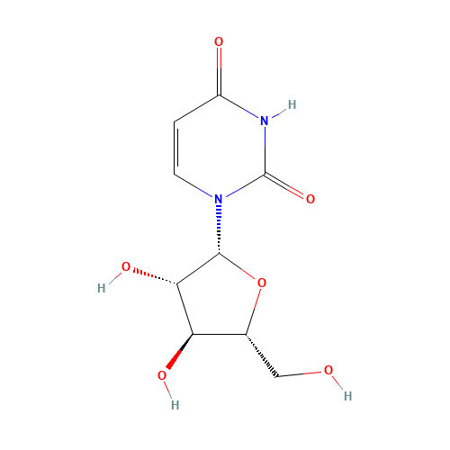 Arabinofuranosyluracil (CAS: 3083-77-0) - Related Chemical Product
