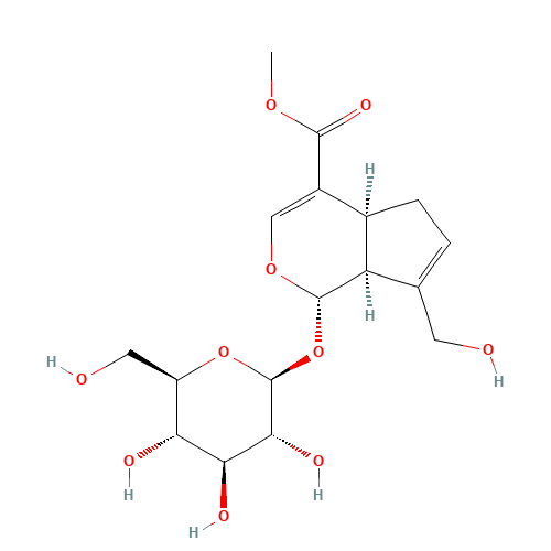 Geniposide (CAS: 24512-63-8) - Related Chemical Product