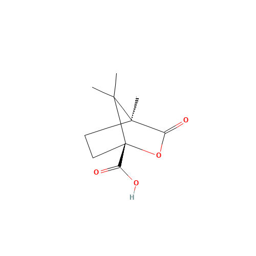 (1R)-(+)-Camphanic acid (CAS: 67111-66-4) - Related Chemical Product