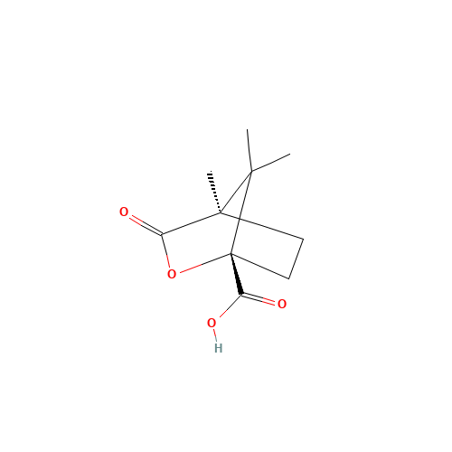 (1S)-(-)-Camphanic acid (CAS: 13429-83-9) - Related Chemical Product