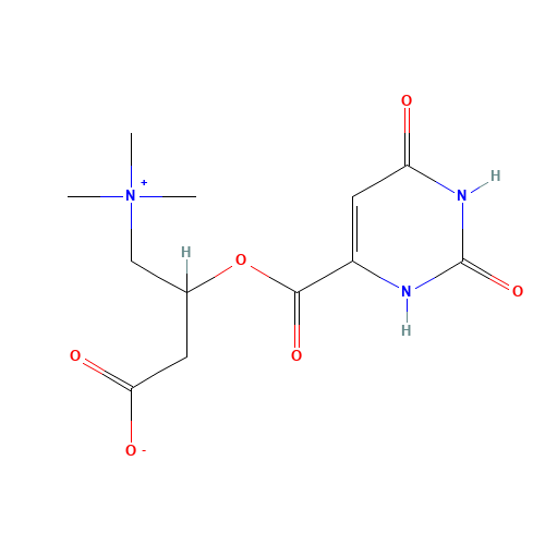 L-Carnitine orotate (CAS: 160468-17-7) - Related Chemical Product
