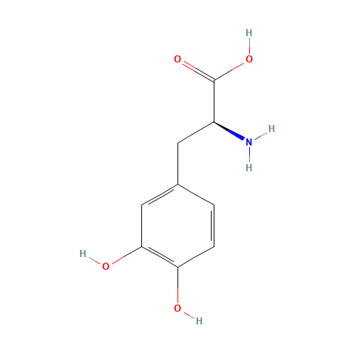Levodopa (CAS: 59-92-7) - Related Chemical Product