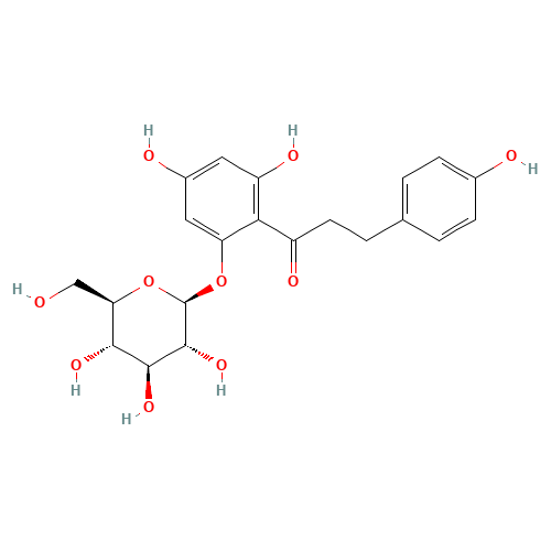 Phlorizin (CAS: 60-81-1) - Related Chemical Product