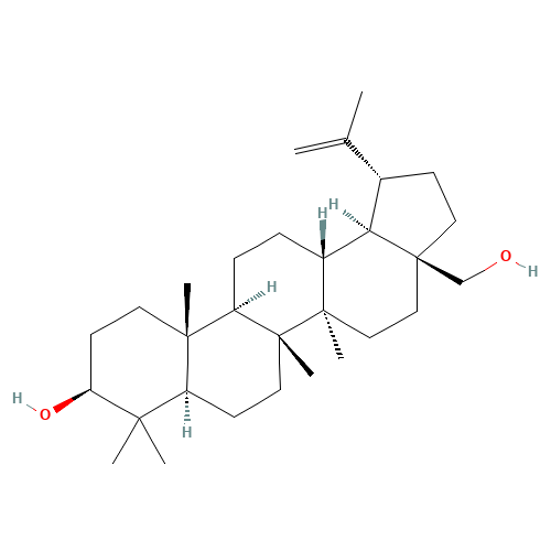 Betulin (CAS: 473-98-3) - Related Chemical Product
