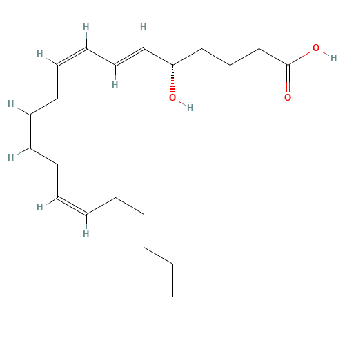 5(S)-HETE (CAS: 70608-72-9) - Related Chemical Product