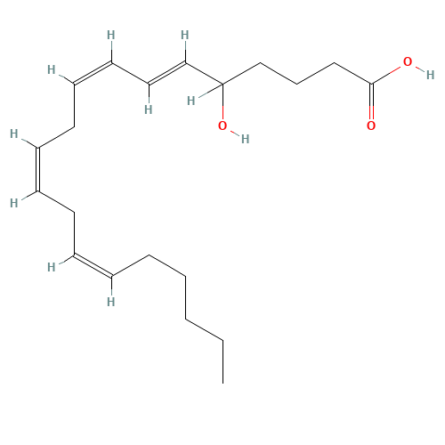 (+/-)5-HETE (CAS: 73307-52-5) - Related Chemical Product