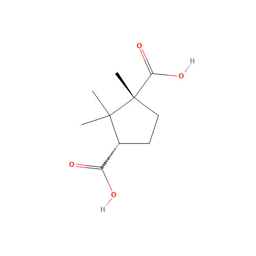 D-(+)-Camphoric acid (CAS: 124-83-4) - Related Chemical Product