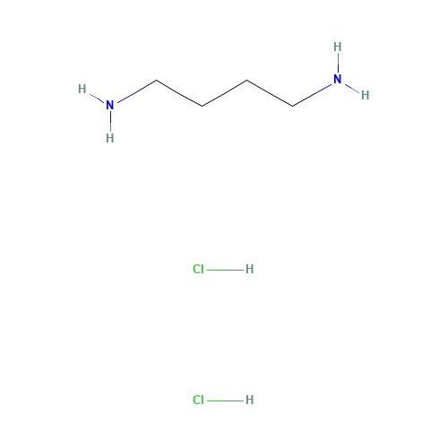 1,4-Diaminobutane dihydrochloride (CAS: 333-93-7) - Related Chemical Product