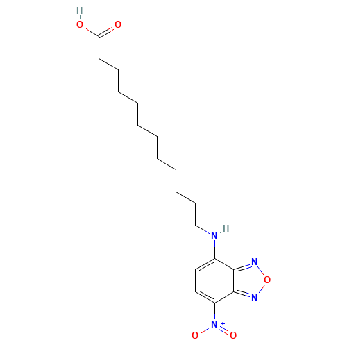 12-(7-NITROBENZOFURAZAN-4-YLAMINO)DODECANOIC ACID (CAS: 96801-39-7) - Related Chemical Product