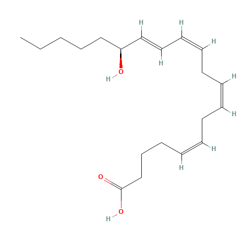 15(S)-HETE (CAS: 54845-95-3) - Related Chemical Product