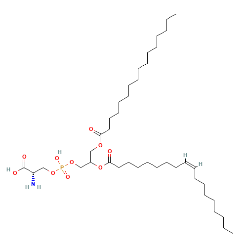 1-Palmitoyl-2-oleoylphospatidylserine (CAS: 79980-16-8) - Related Chemical Product