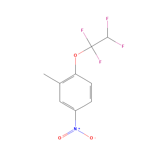 2-TETRAFLUOROETHOXY-5-NITROTOLUENE (CAS: 28202-30-4) - Related Chemical Product