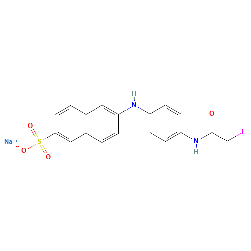 2-(4'-(IODOACETAMIDO)ANILINO)NAPHTHALENE-6-SULFONIC ACID SODIUM SALT (CAS: 143756-46-1) - Related Chemical Product