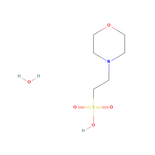 MES monohydrate (CAS: 145224-94-8) - Related Chemical Product