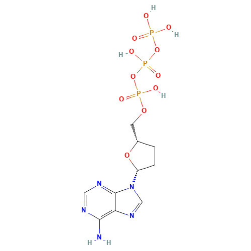 2',3'-DIDEOXYADENOSINETRIPHOSPHORICACID=DDATP (CAS: 24027-80-3) - Related Chemical Product