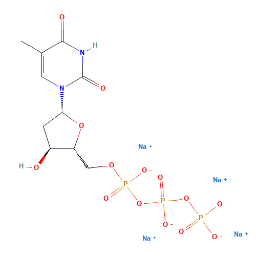 THYMIDINE 5'-TRIPHOSPHATE SODIUM SALT (CAS: 3624-46-2) - Related Chemical Product