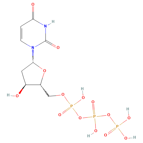 2'-Deoxyuridine-5'-triphosphoric acid  = dUTP (CAS: 1173-82-6) - Related Chemical Product