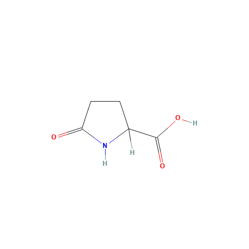 DL-Pyroglutamic acid (CAS: 149-87-1) - Related Chemical Product