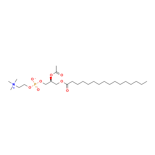1-Palmitoyl-2-acetyl-gpc (CAS: 84062-61-3) - Related Chemical Product