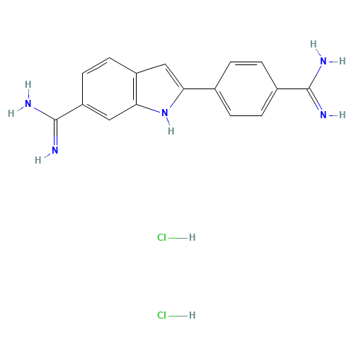 4',6-Diamidino-2-phenylindole dihydrochloride (CAS: 28718-90-3) - Related Chemical Product