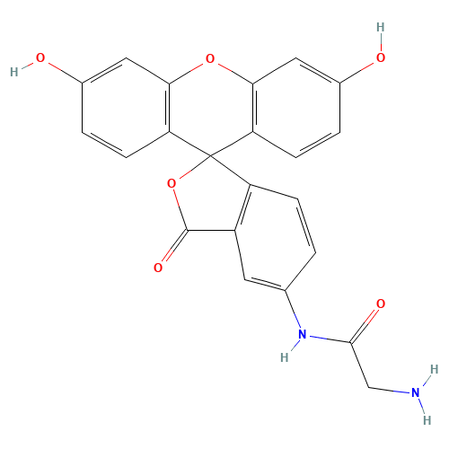 5-(Aminoacetamido)fluorescein(fluoresceinylglycineamide) (CAS: 136091-82-2) - Related Chemical Product