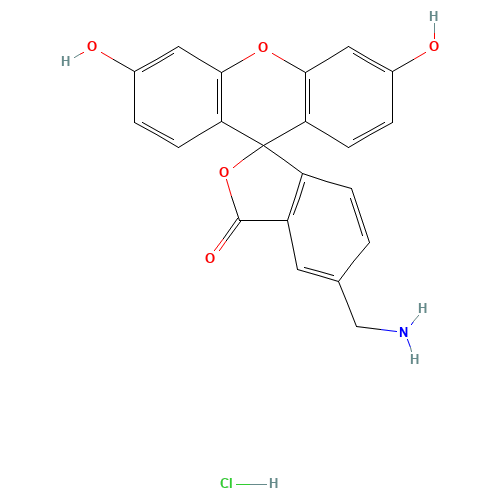 5-(AMINOMETHYL)FLUORESCEIN HYDROCHLORIDE (CAS: 141749-41-9) - Related Chemical Product