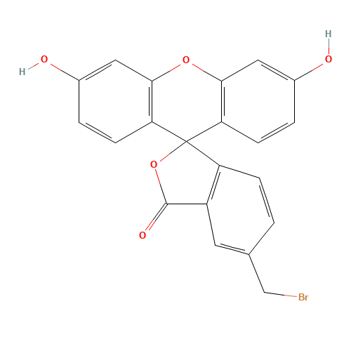 5-(BROMOMETHYL)FLUORESCEIN (CAS: 148942-72-7) - Related Chemical Product