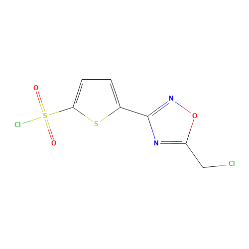5-[5-(CHLOROMETHYL)-1,2,4-OXADIAZOL-3-YL]-2-THIOPHENESULFONYL CHLORIDE (CAS: 423768-39-2) - Related Chemical Product