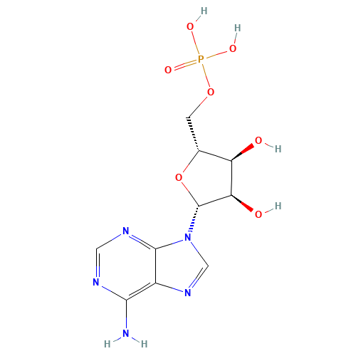 Adenosine 5'-monophosphate (CAS: 61-19-8) - Related Chemical Product