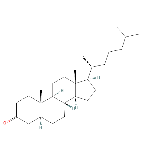 5ALPHA-CHOLESTAN-3-ONE (CAS: 566-88-1) - Related Chemical Product