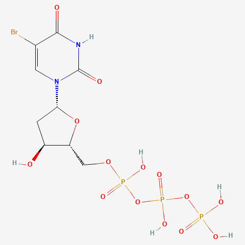 5-BROMO-2'-DEOXYURIDINE 5'-TRIPHOSPHATE SODIUM SALT (CAS: 102212-99-7) - Related Chemical Product
