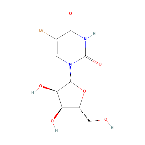 5-Bromouridine (CAS: 957-75-5) - Related Chemical Product