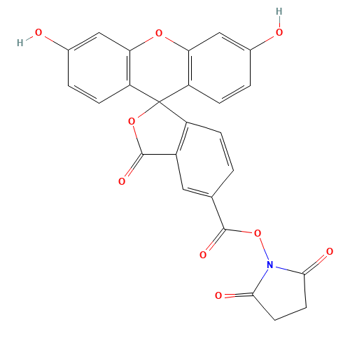5-Carboxyfluorescein N-succinimidyl ester (CAS: 92557-80-7) - Related Chemical Product