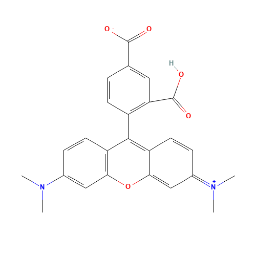 5-Carboxytetramethylrhodamine (CAS: 91809-66-4) - Related Chemical Product