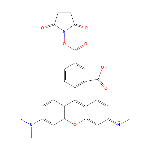6-CARBOXYTETRAMETHYLRHODAMINE N-HYDROXYSUCCINIMIDE ESTER (CAS: 150810-68-7) - Related Chemical Product