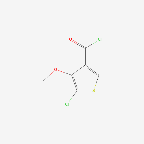 5-CHLORO-4-METHOXYTHIOPHENE-3-CARBONYL CHLORIDE (CAS: 175137-49-2) - Related Chemical Product