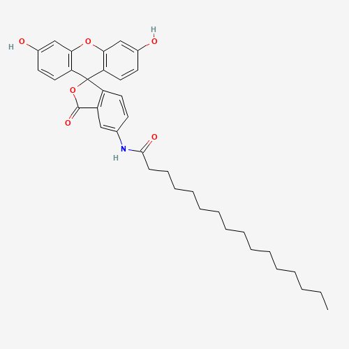 5-HEXADECANOYLAMINOFLUORESCEIN (CAS: 73024-80-3) - Related Chemical Product