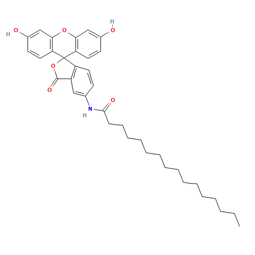 5-HEXADECANOYLAMINOFLUORESCEIN (CAS: 73024-80-3) - Related Chemical Product