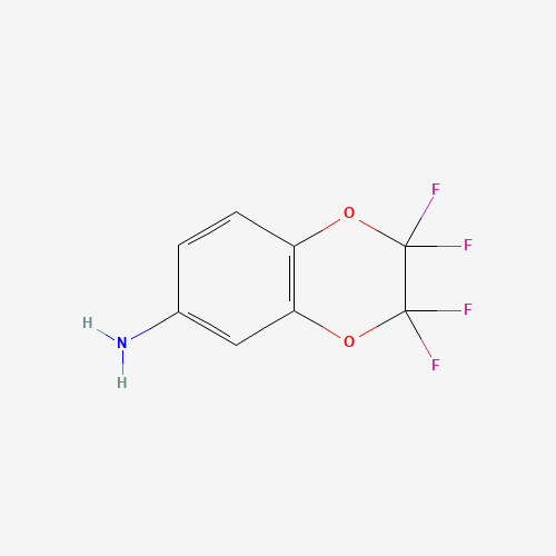 6-AMINO-2,2,3,3-TETRAFLUORO-1,4-BENZODIOXAN (CAS: 89586-07-2) - Related Chemical Product