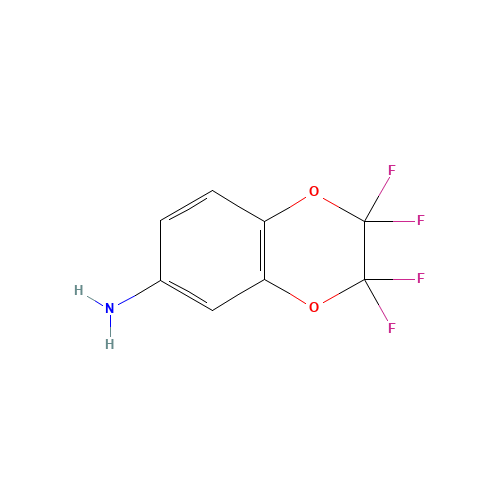6-AMINO-2,2,3,3-TETRAFLUORO-1,4-BENZODIOXAN (CAS: 89586-07-2) - Related Chemical Product